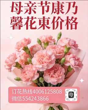 驻马店确山县花店母亲节康乃馨花束
